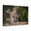 No Frame Print on Canvas