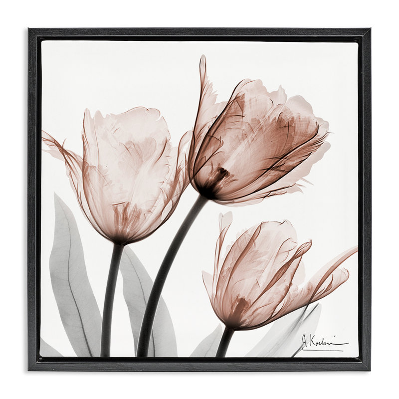 «Simple Transparent Transparent Tulipes», art mural par Albert Koetsier, Cadre flottant noir de jais, H 18 po x l 18 po