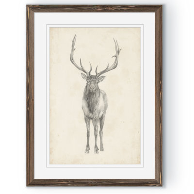 " Elk Study " by Paul Cezanne