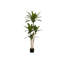 Plante en faux ciment 51,25 po Mcginnis