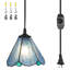 1 luminaire suspendu suspendu de 7 pouces-24446225