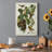 " Pl 12 Baltimore Oriole "-1340729981