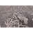 Elysian  Grey Rug 6'8" x 9'9"