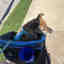 Photos des clients 1 de 3