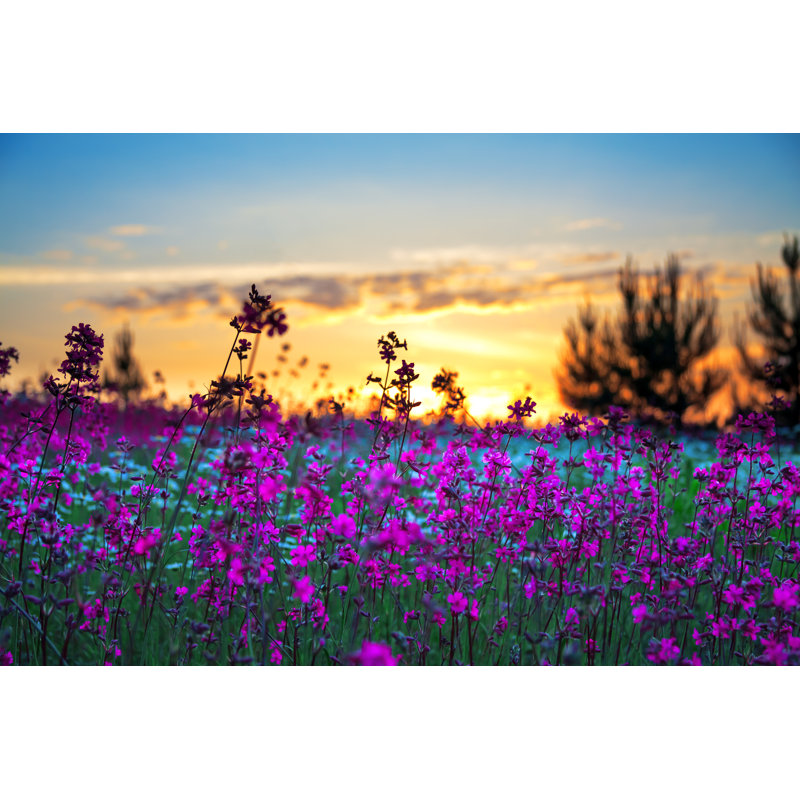 Summer Sunrise Over A Blossoming Meadow by Yanikap - Wrapped Canvas Print, 12"H x 18"W