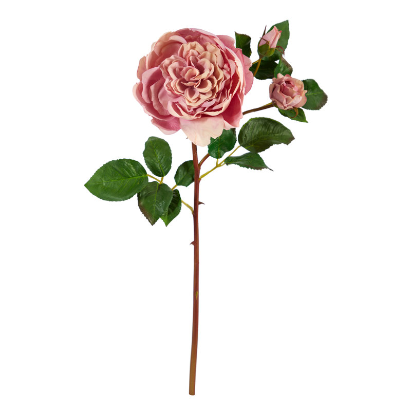 Rose Arrangement, Lavender