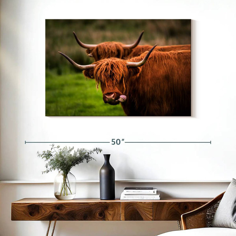 Fluffy Highland Cows, H 26 po x l 39 po
