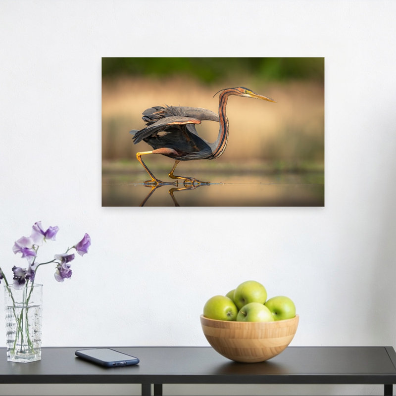 Purple Heron Stalking Contemporary Bird Wall Art Print 1 Piece Wrapped Canvas Wall Art, 30.48cm H x 45.72cm W