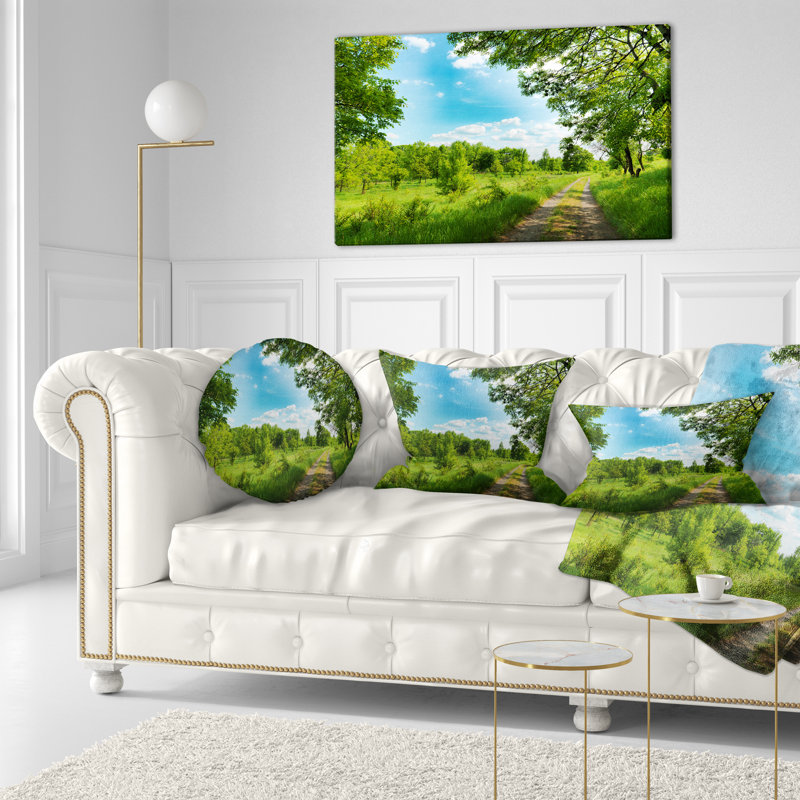 Coussin Forest Road and Sky