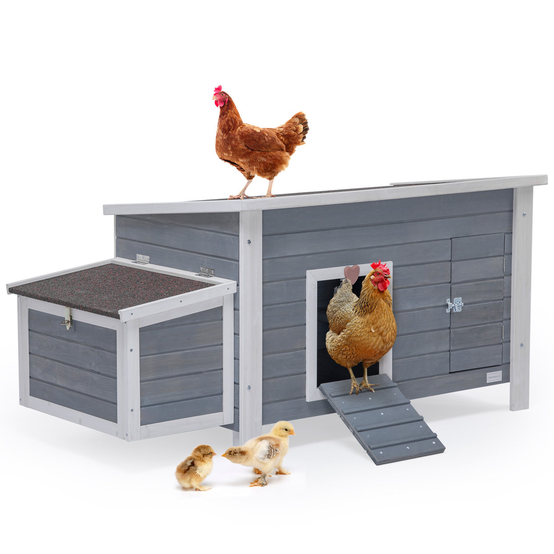Alena 9.78 Square Feet Chicken Coop with Roosting Bar For Up To 4 Chickens Tucker Murphy Pet™ 