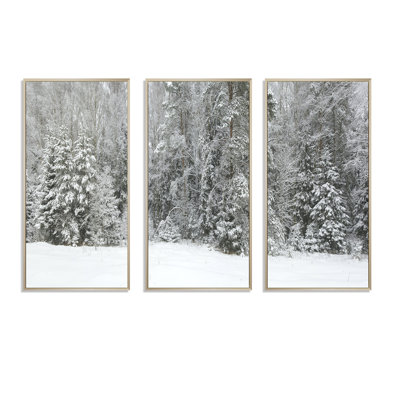 «Foggy Winter Forest Panorama», ensemble de 3 toiles encadrées