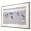 Sandpiper Reflections Framed On Print