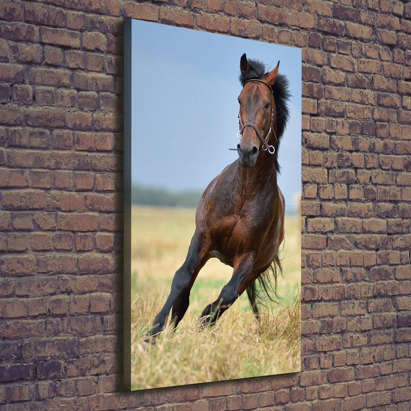 Roe - Wrapped Canvas Print