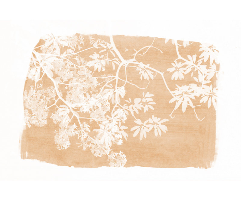 Wrapped Canvas Print, 60.96 cm H x 91.44 cm W