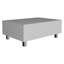 Table basse à plateau relevable avec rangement-1611269190