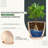 Plant Pots Indoor with Drainage-2099958486