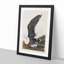 Black-Backed Gull by John James Audubon - Picture Frame Art Print-55512330-55512331