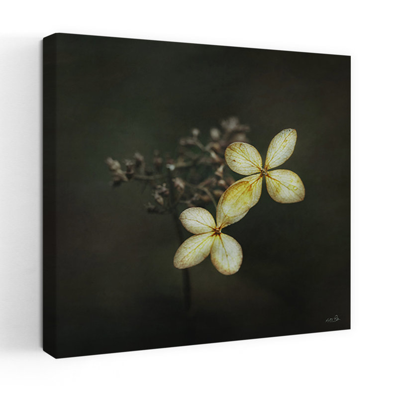 Côte à côte, impression délicate minimaliste, hortensia, nature, art mural, H 36 po x l 36 po