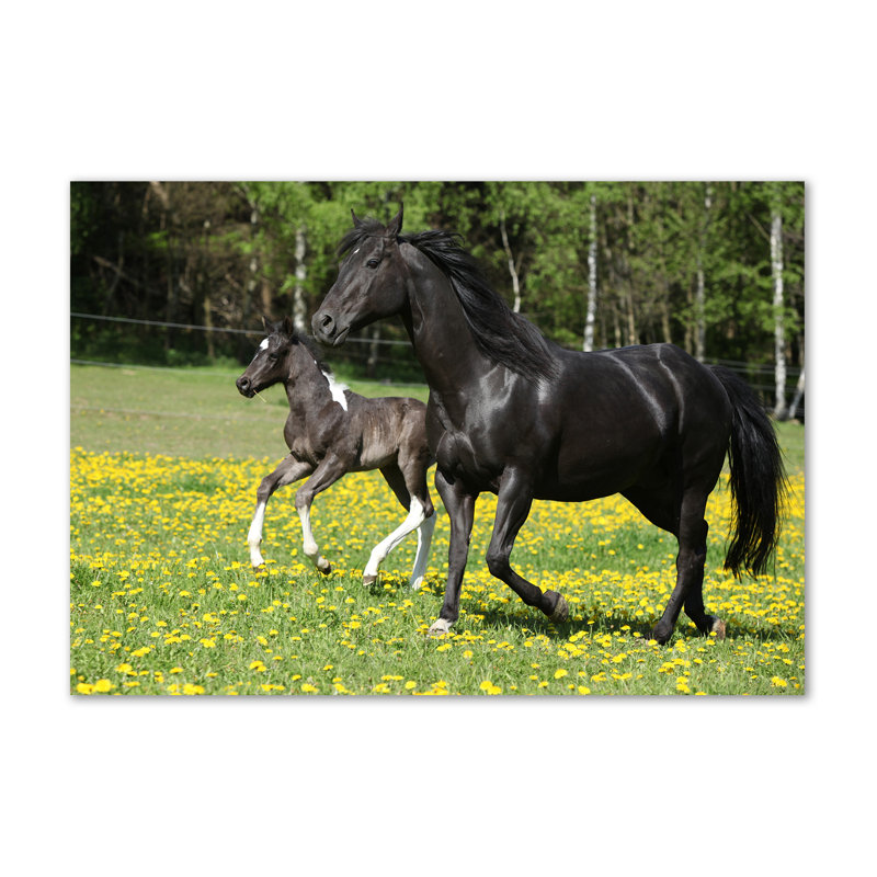 Mare With Foal - Wrapped Canvas Print