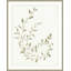 Leafy Vines 1 Framed Watercolour Painting Print-1720027338