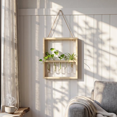 5-Tube Wall Hanging Plant Propagation Station with Wooden Frame