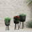 Includes plant rack flower pots