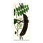 Horloge murale Plant Life-353743237
