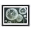 Joyful Dandelion Flowers - Framed Print-169661300-169661305