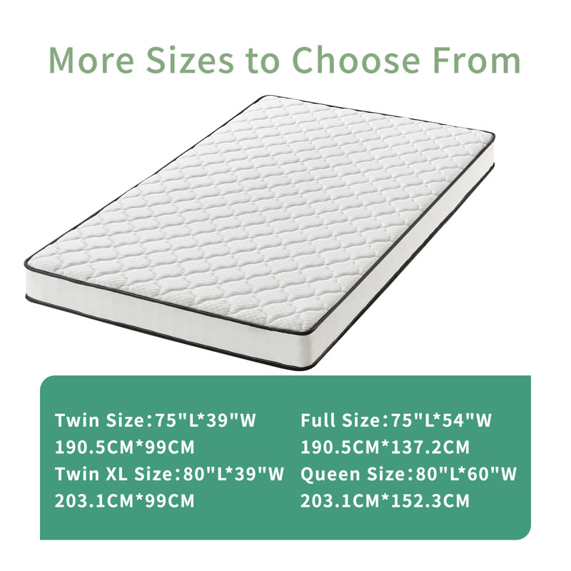 Wayfair Alwyn Home 6" Medium Euro Top Hybrid Innerspring Mattress, Twin XL