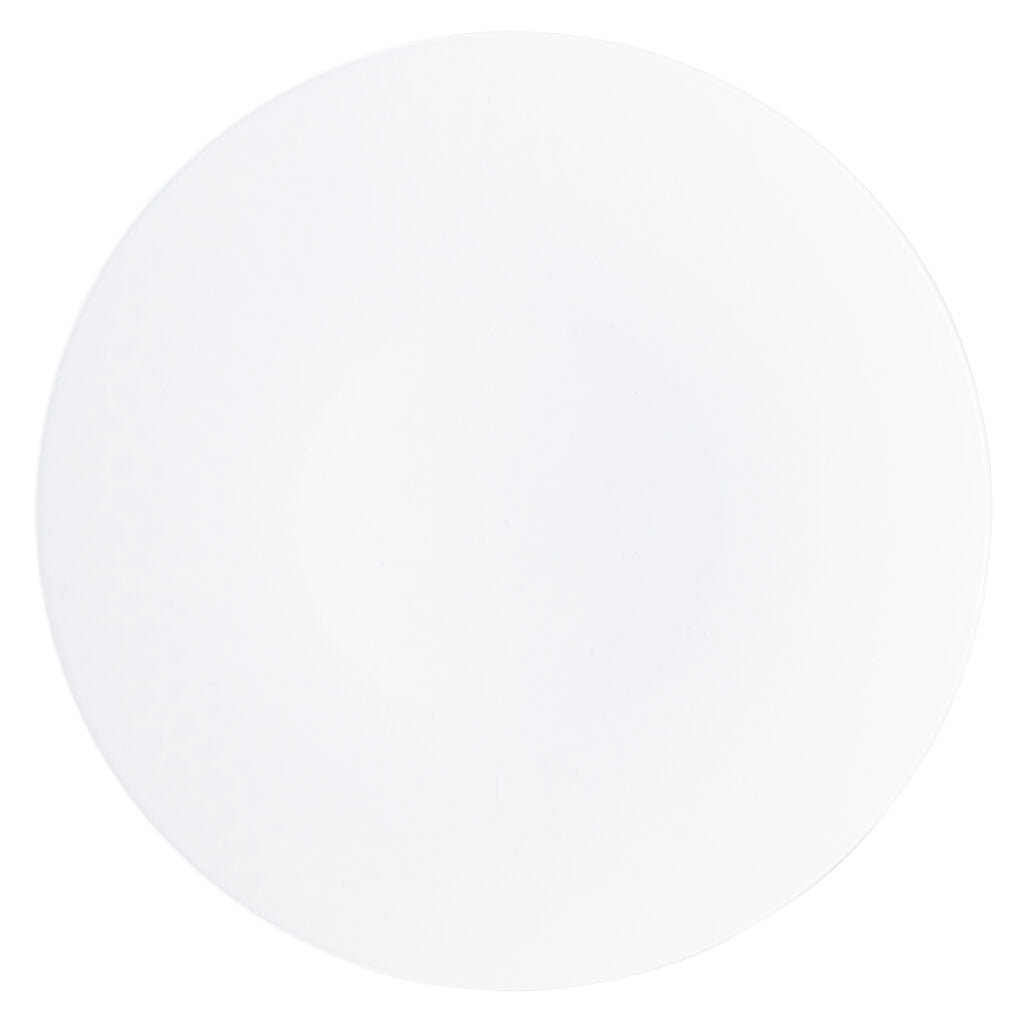 EcoQuality Disposable Birthday Dinner Plate Wayfair