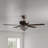 Richmon 52'' Ceiling Fan with Light Kit