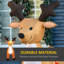 Weather Resistant Christmas Decoration
