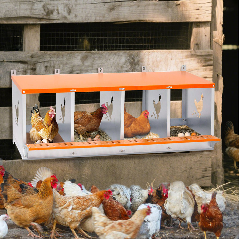Boîte de nidification en métal - Support mural pour poules / canards, collection et assemblage facile d'œufs, équipement de cage en acier galvanisé ventilé - orange