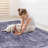 2'x 3'Anthracite Washable Area Rug-624808707