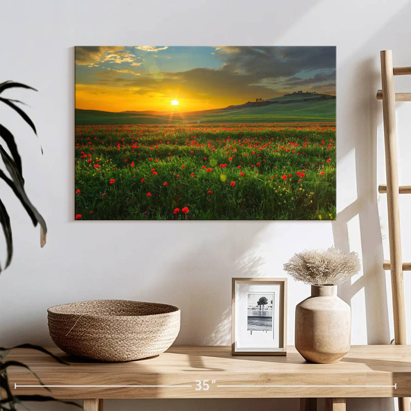 Coquelicots d'Alvord en Toscane, H 16 po x l 24 po