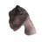 Allosaurus Dinosaur Head Life Size Statue
