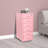Dulac 11 " Wide 6 Steel Vertical Filing Cabinet-1127976841