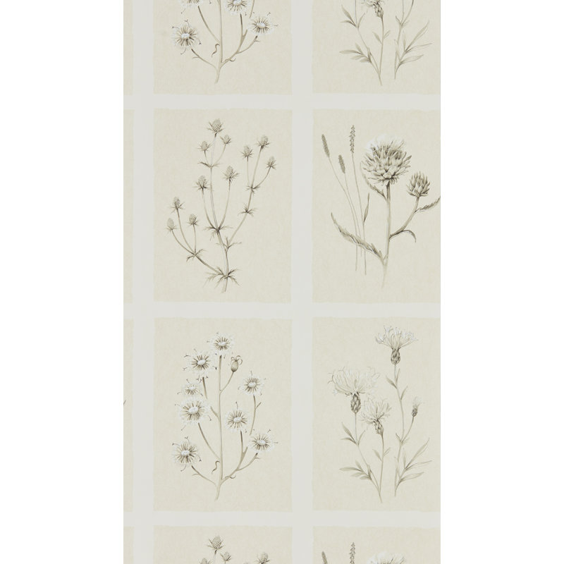 Thistles 10.05m x 52cm Matte Wallpaper Roll, Neutral