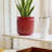 Round Indoor/Outdoor Ceramic Pot Planters-289813474