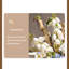 Vases de table en céramique