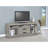 Bergeron Grey Driftwood 2-Drawer Engineered Wood TV Stand