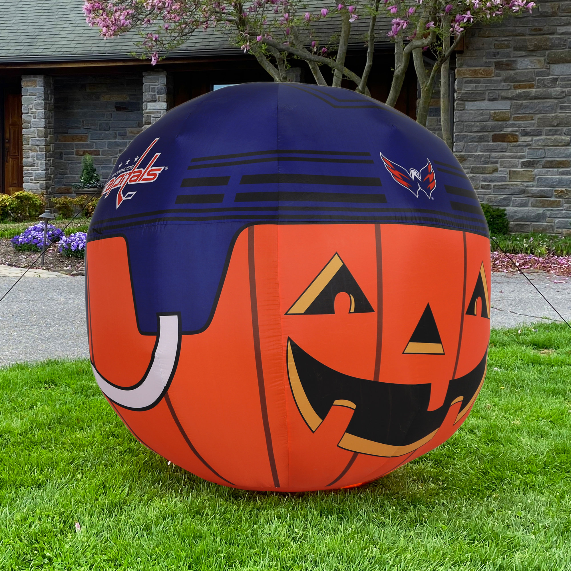 Sporticulture 4-ft Pre-Lit Dallas Cowboys Jack-o-lantern