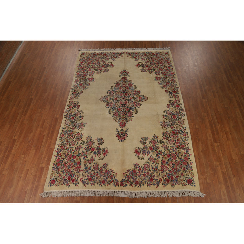 Tapis traditionnel rétro 8 x 11