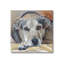 «Cozy Dog Portrait Photo Frame» par Nadi Spencer sur-780225726-781020938