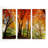 " Prism Of Light " 3 - Pieces-23818175