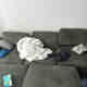 Photos des clients 1 de 1