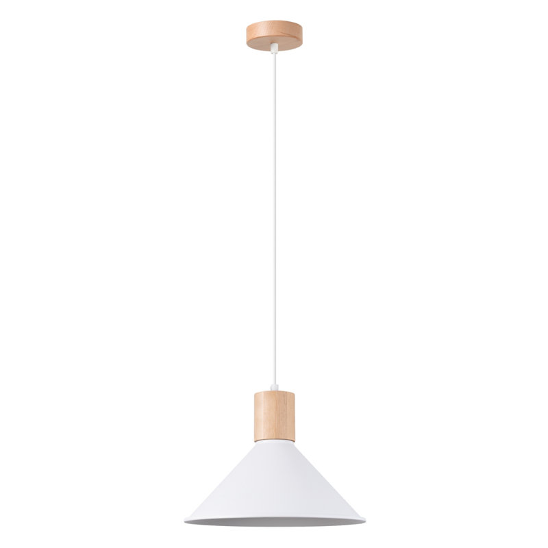 1 - Light Stainless Steel Pendant, White