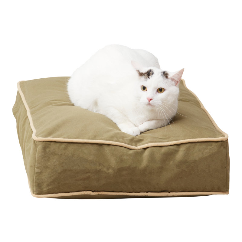 Avitable Pet Bed, Moss