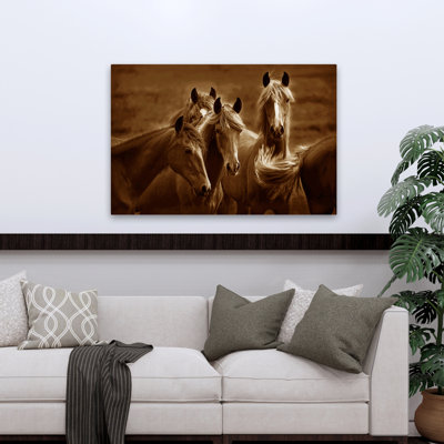 Bad Girls - Photographie, animaux, chevaux, nature, faune