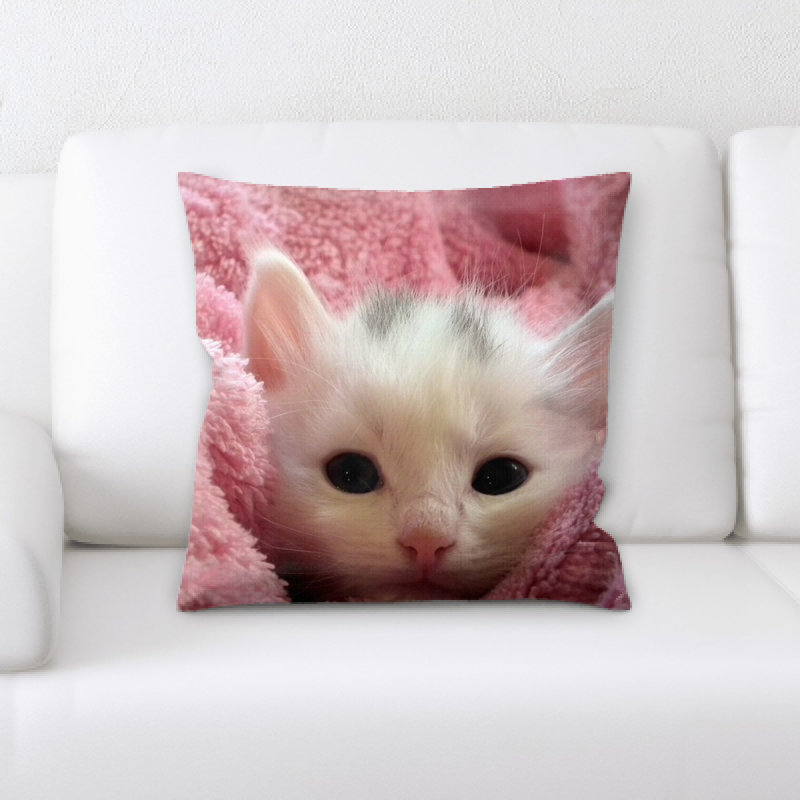 Coussin chat